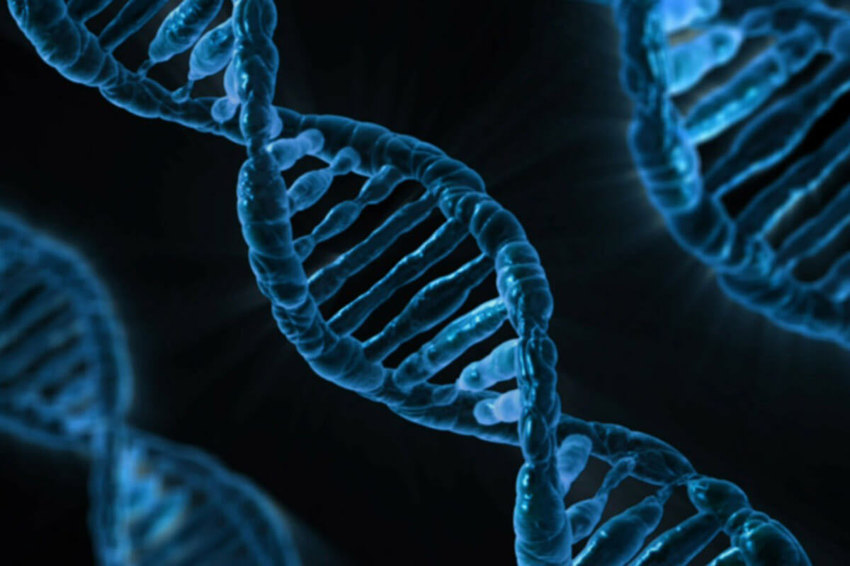 Code Regulating Most Human Genes Now Unlocked